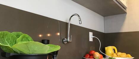 A modern kitchen with a built-in stove, a sink with a faucet, and a potted plant.