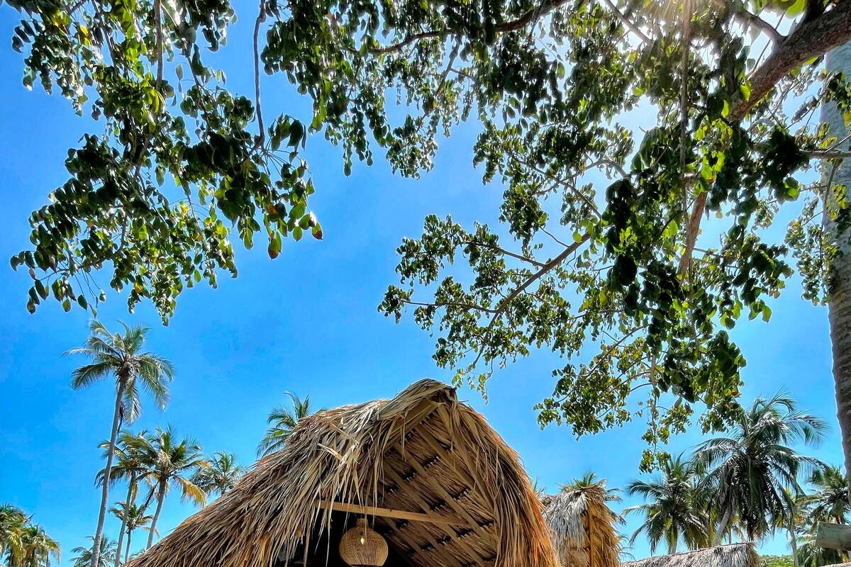 A thatched-roof hut with lounge chairs in a tropical setting.
