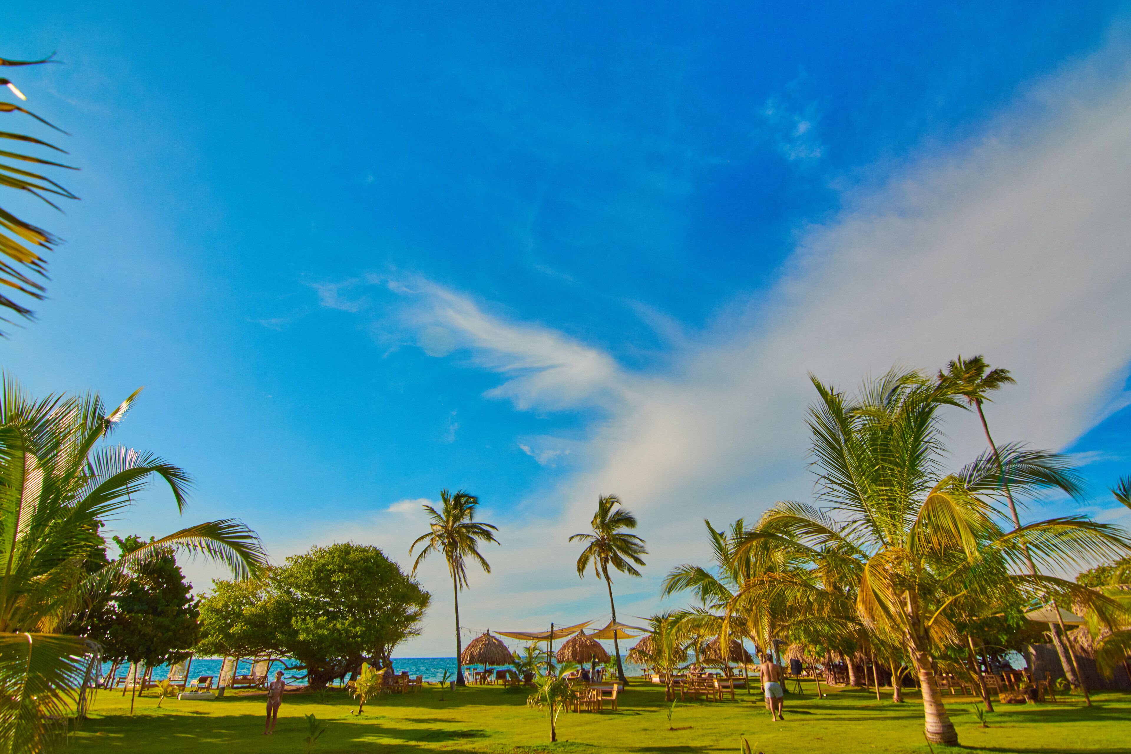 A tropical resort with palm trees, a clear blue sky, and a view of the ocean.