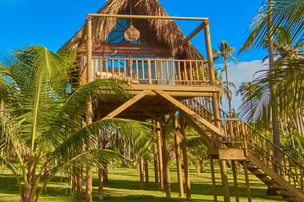 A wooden structure with a thatched roof, elevated on stilts, surrounded by palm trees.