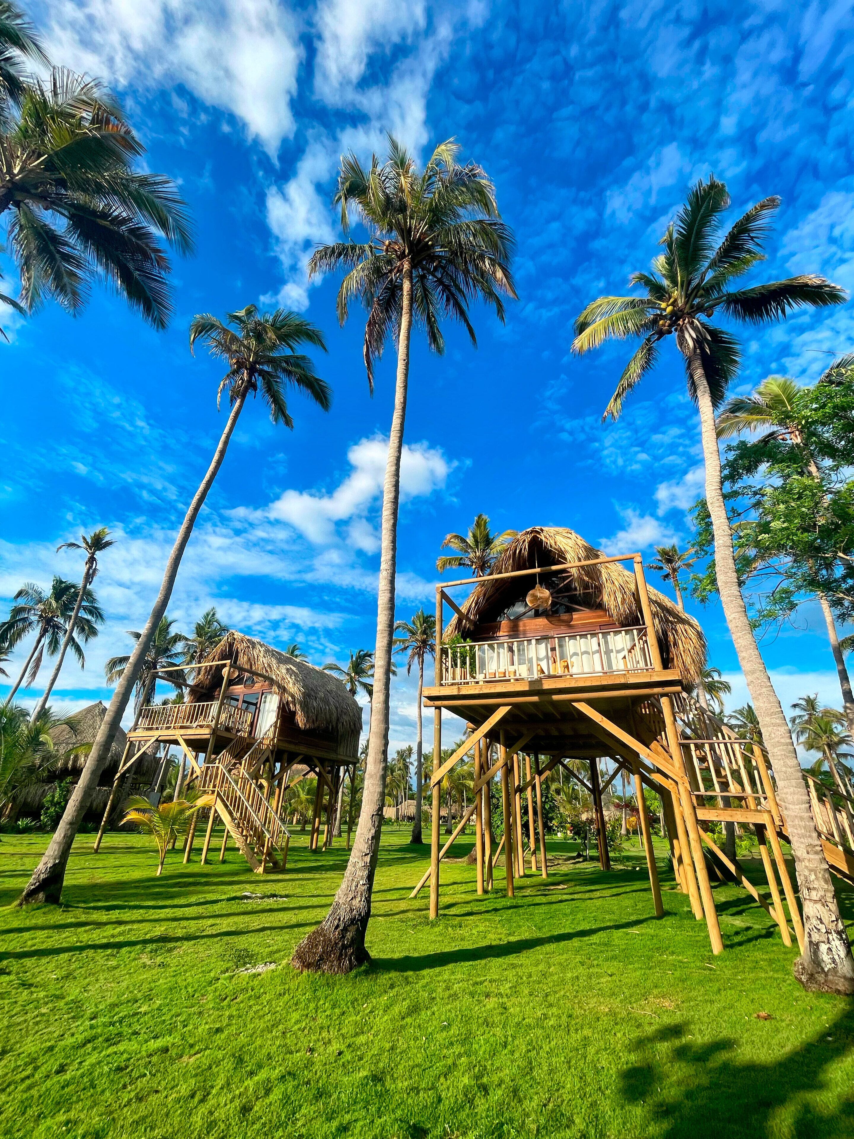 A resort with elevated wooden structures and thatched roofs, surrounded by palm trees and a clear blue sky.