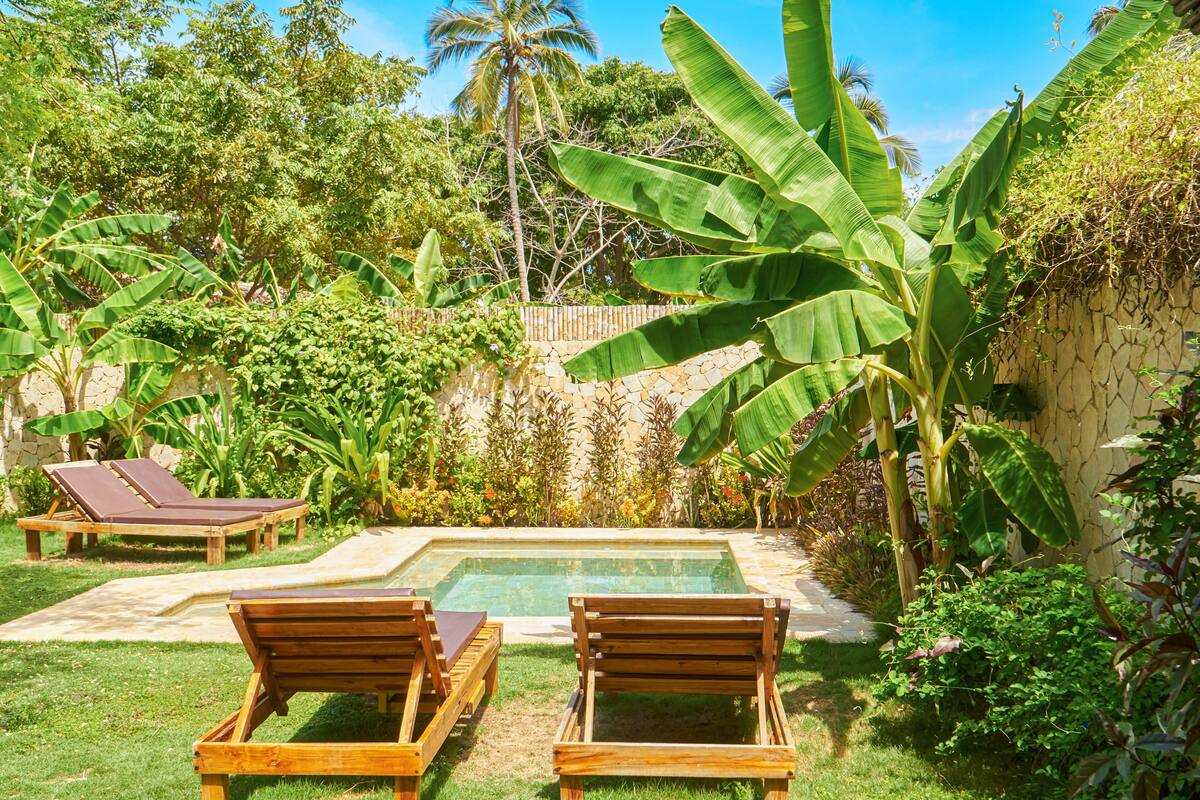 A backyard with a swimming pool, wooden lounge chairs, and lush greenery including banana trees.
