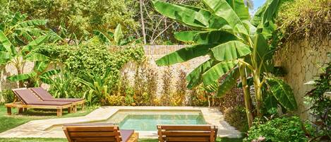 A backyard with a swimming pool, wooden lounge chairs, and lush greenery including banana trees.