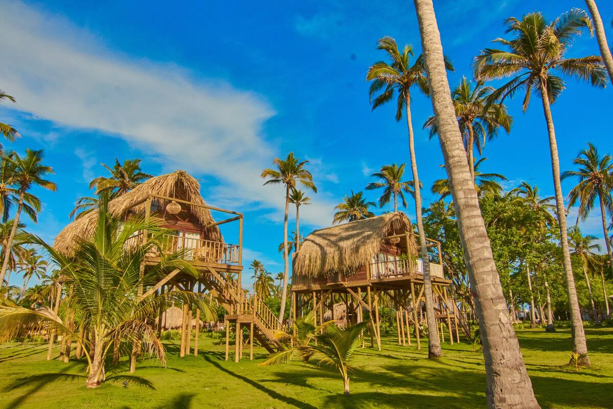 A resort with thatched-roof structures, palm trees, and a clear blue sky.