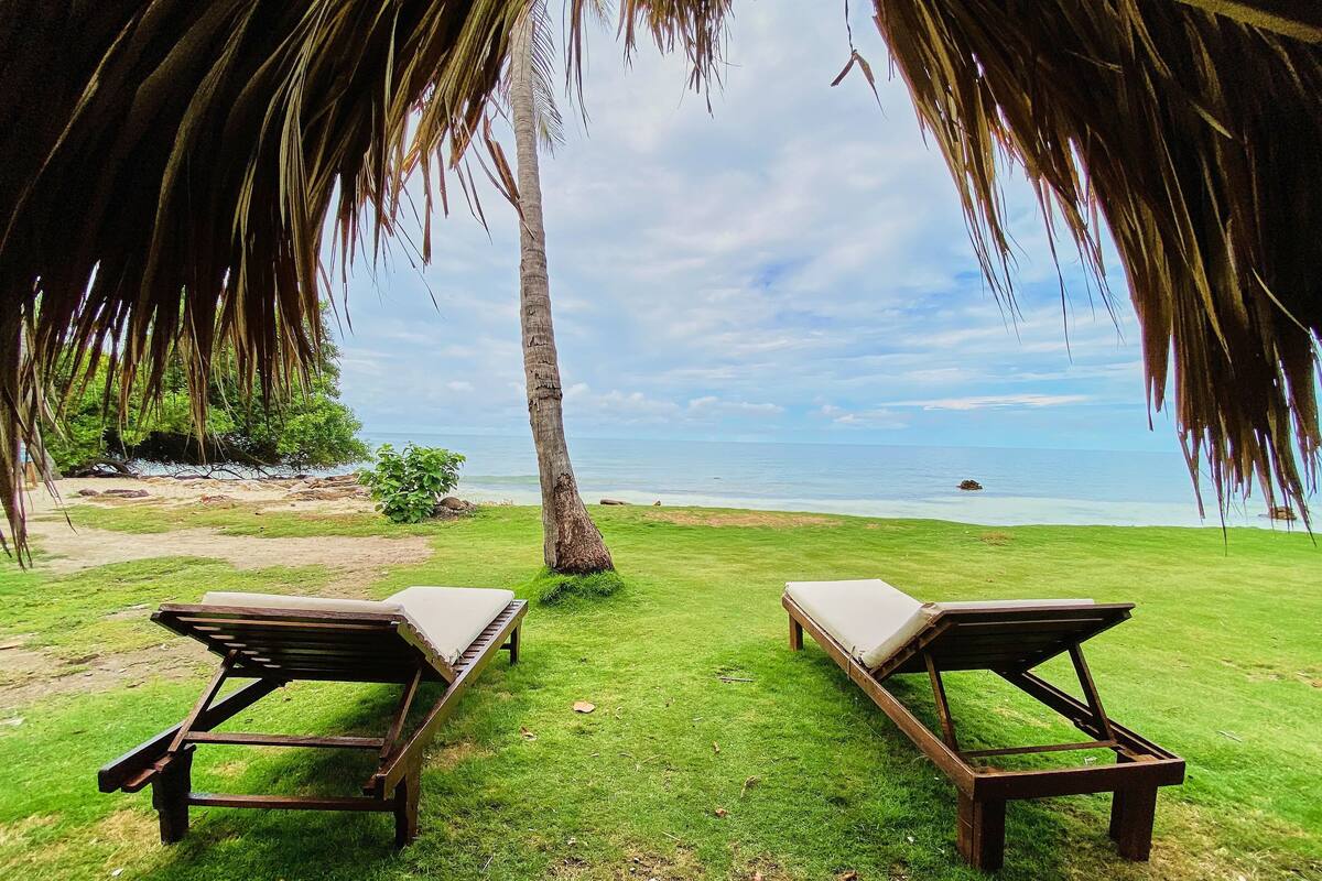 Two wooden lounge chairs with cushions on a grassy lawn, overlooking a beach with clear blue water and a palm tree in the foreground.