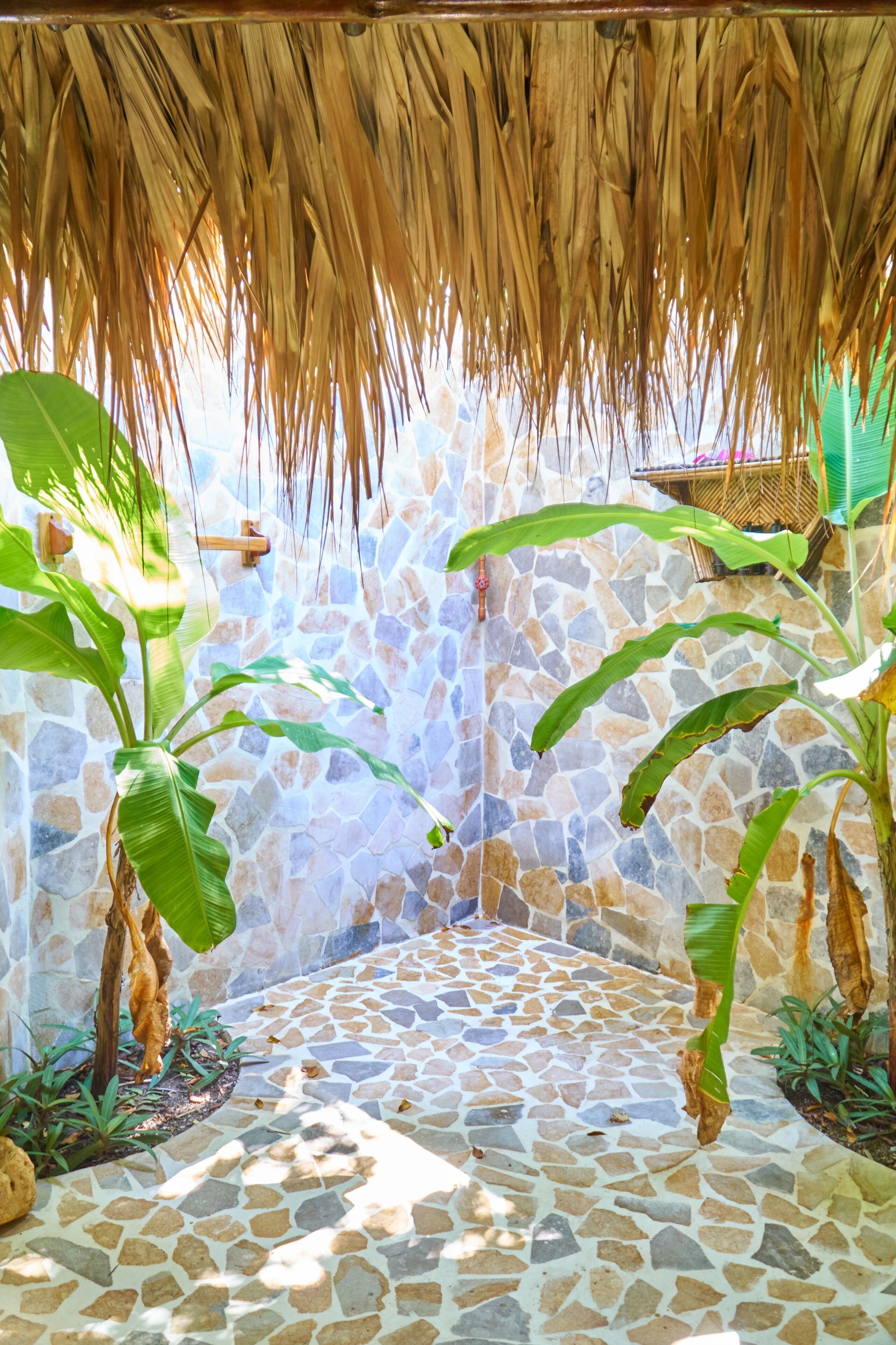 A stone-tiled patio with a thatched roof, surrounded by large green plants.