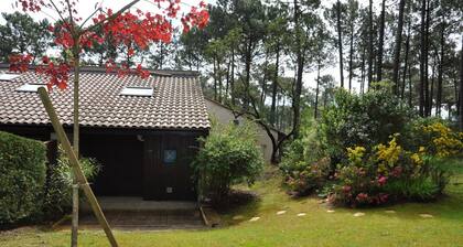 Maison Birdie by Agence Bru - 67501