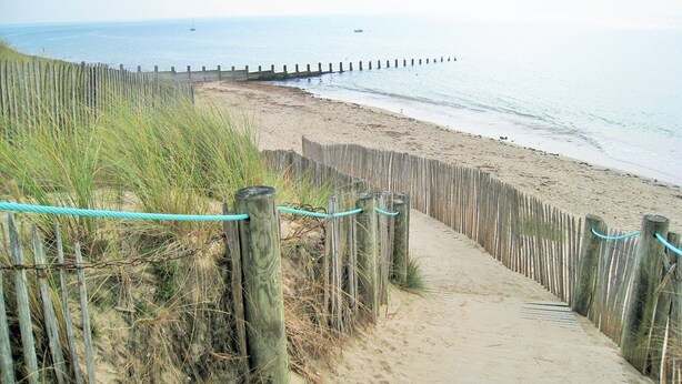 En sti langs en sandstrand med træhegn og græs på venstre side, der fører hen mod havet.