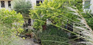 DĂ©tail de lâextĂ©rieur