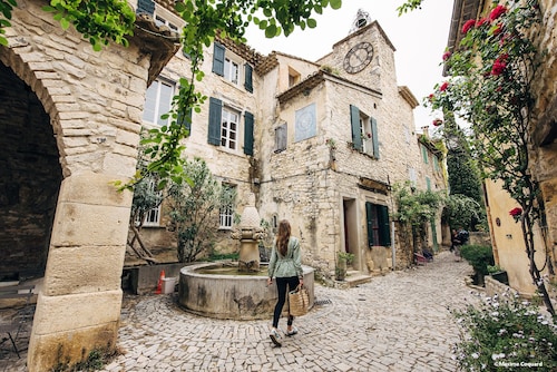 Holiday house in Provence with private heated swimming pool.