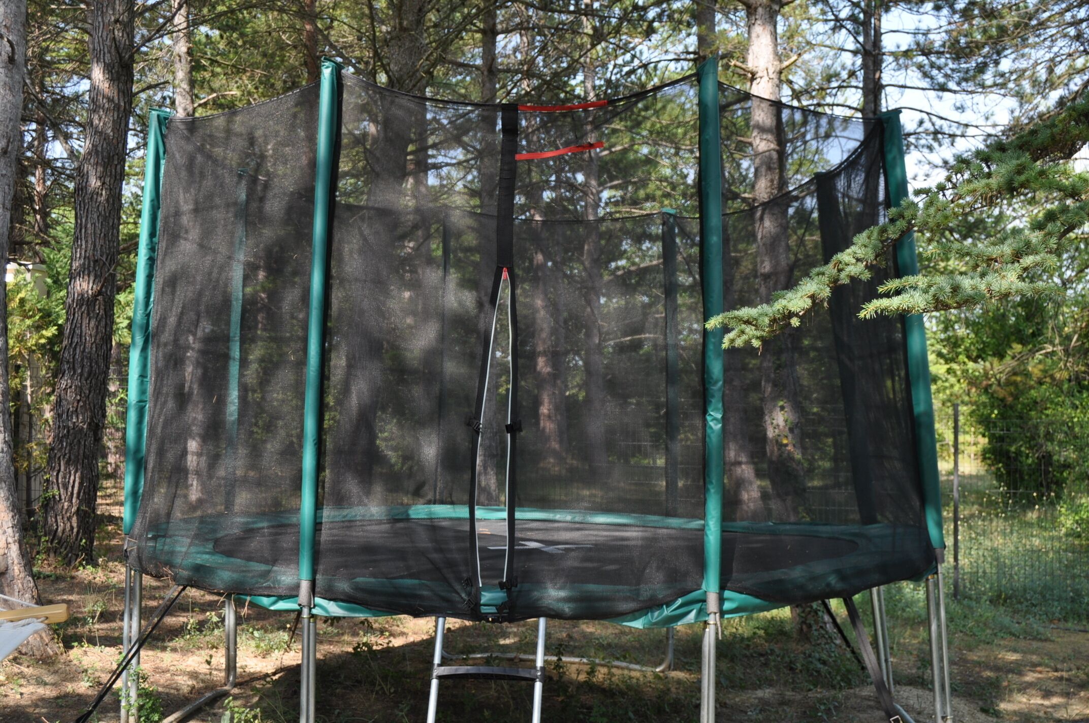 A trampoline with a safety net, surrounded by trees in a wooded area.