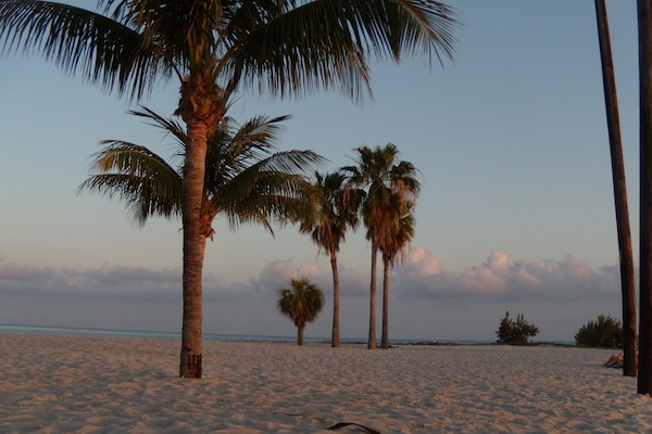 Playa