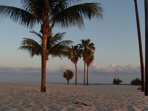 Plage à proximité, chaise longue, serviettes de plage