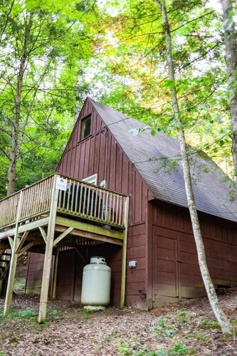 Pet Friendly Cabin in the Woods!