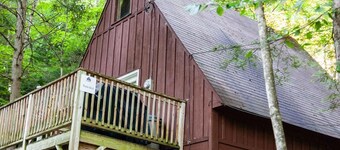 Pet Friendly Cabin in the Woods!
