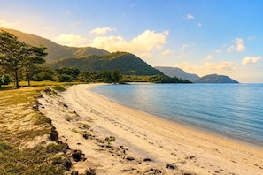 Une plage avec un rivage sablonneux, des arbres et des montagnes en arrière-plan.