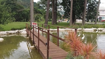 Apartamento | Área da propriedade