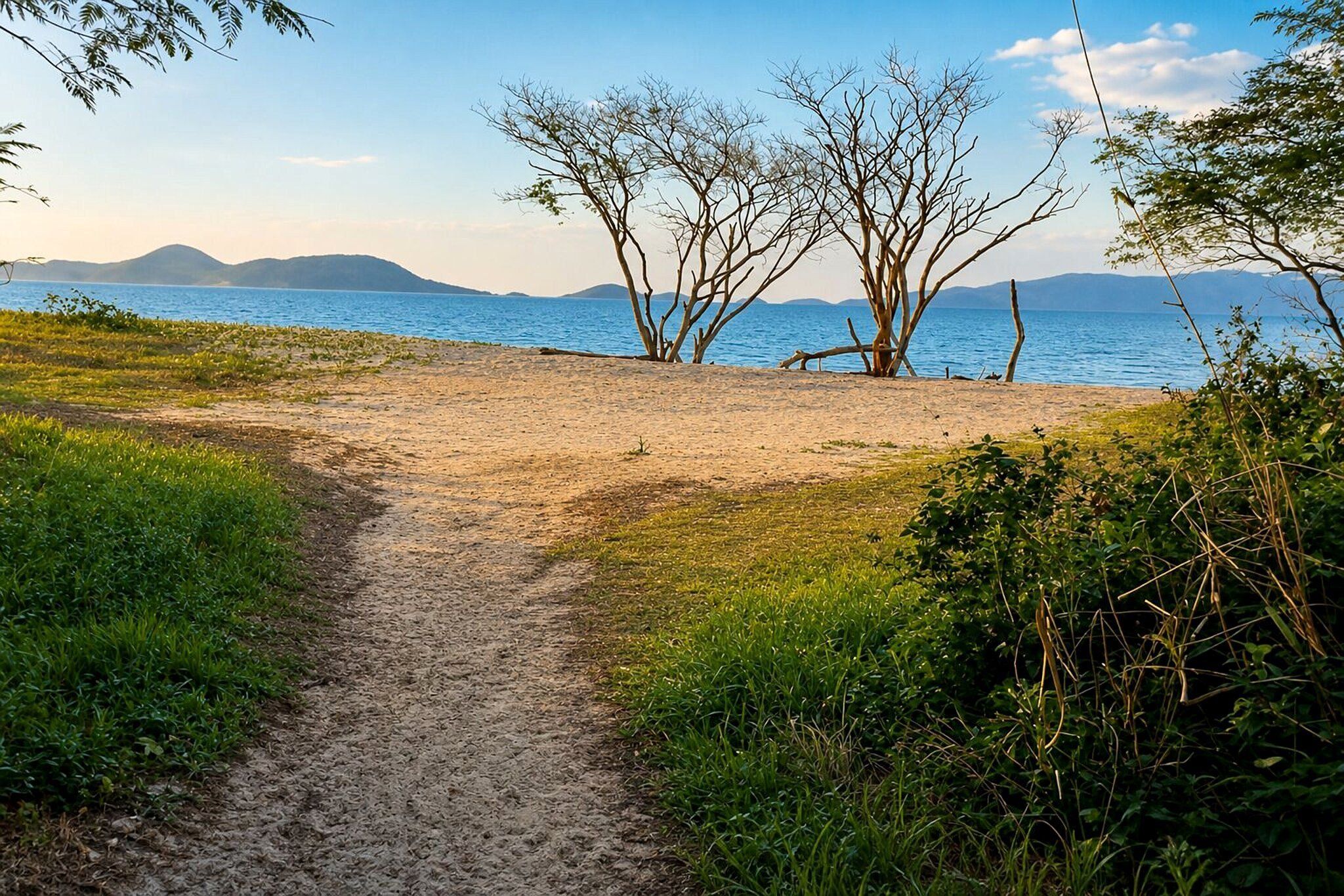 Uma trilha de terra que leva a uma praia, com árvores e montanhas ao fundo.
