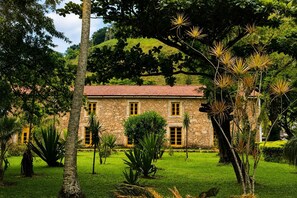Niet-geclassificeerde afbeelding, 3 van 134, knop