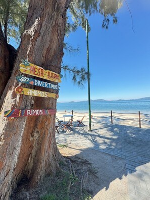 Un árbol con carteles coloridos, una playa con sillas y una vista despejada del mar.
