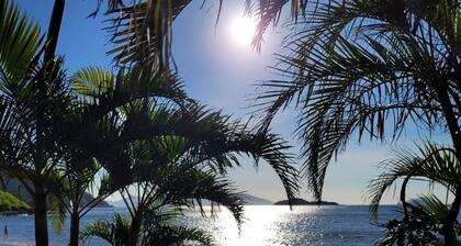 Reserva do Sahy, Condado