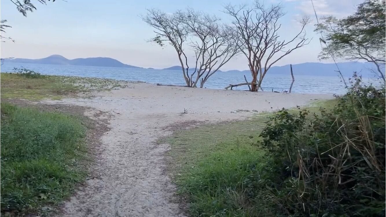 Apartamento | Praia | Perto da praia, bar na praia 