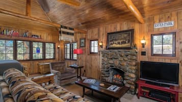 TV connectée, cheminée, lecteur de DVD, livres