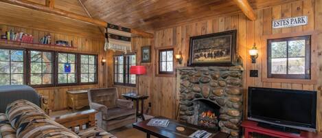 Smart TV, fireplace, DVD player, books