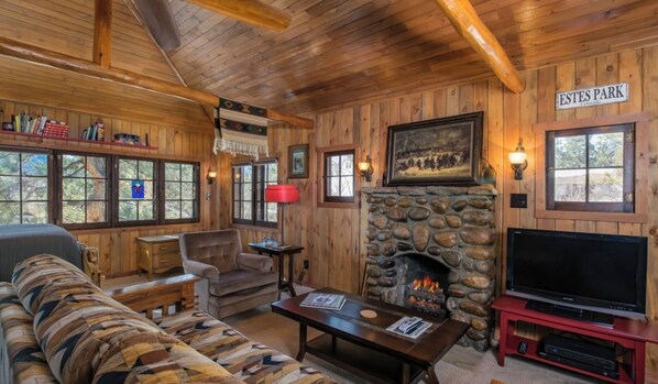 Smart TV, chimenea, reproductor de DVD y libros 