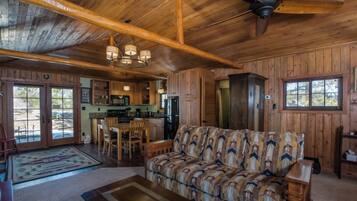 TV connectée, cheminée, lecteur de DVD, livres