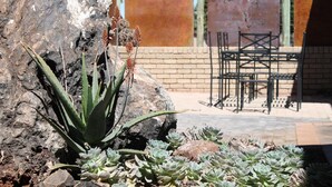 A rock garden with succulents and a cactus in a sunny outdoor area with a brick wall and metal chairs. - Eldorado Lodge CC (Kuruman)