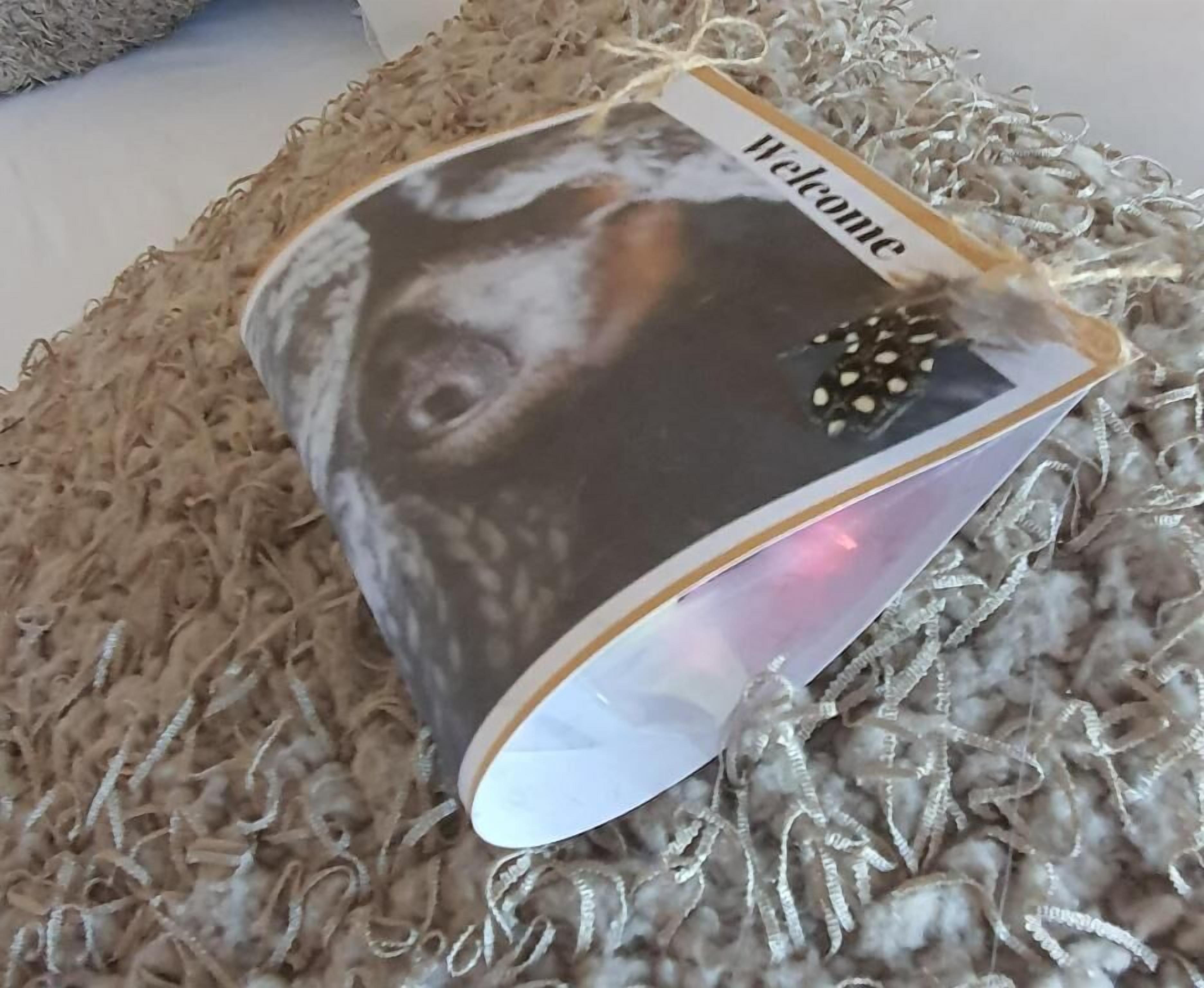 Una tarjeta de bienvenida con la cara de un perro sobre una superficie rugosa.