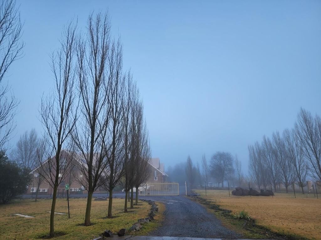 A rural road with a gravel path, leafless trees, and a foggy atmosphere.