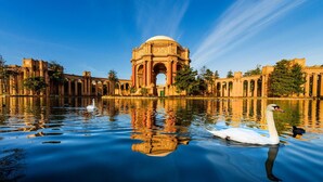 Pool - Page Hotel (San Francisco)