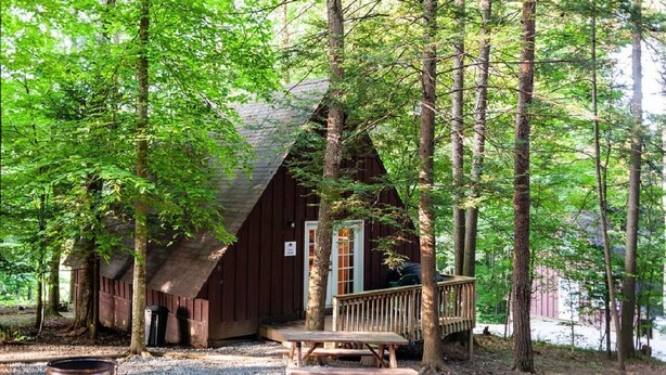 A rustic cabin with a wooden deck and a picnic table, surrounded by tall trees and a body of water. - Reel Simple - Pet Friendly with Hot Tub (Summersville)