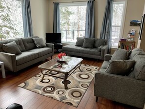 TV, lareira, DVD player, livros