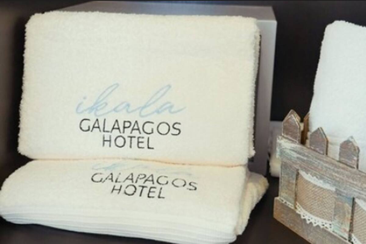 superior duplex | 1 bedroom, in-room safe, individually decorated, individually furnished