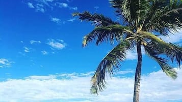 Una spiaggia nelle vicinanze