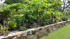Un jardin doté d’un mur de soutènement en pierre, de différentes plantes et d’une zone herbeuse.