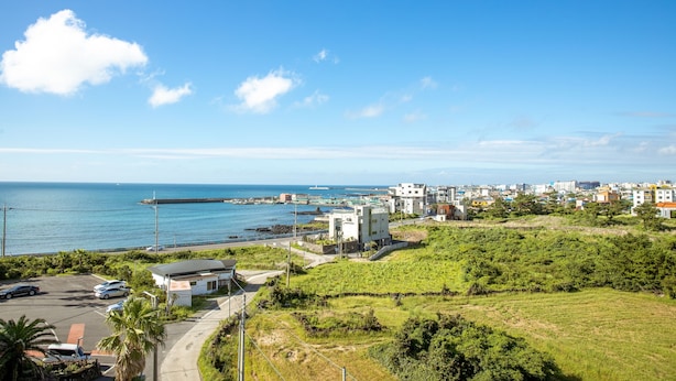 A coastal town with a marina, green fields, and modern buildings.