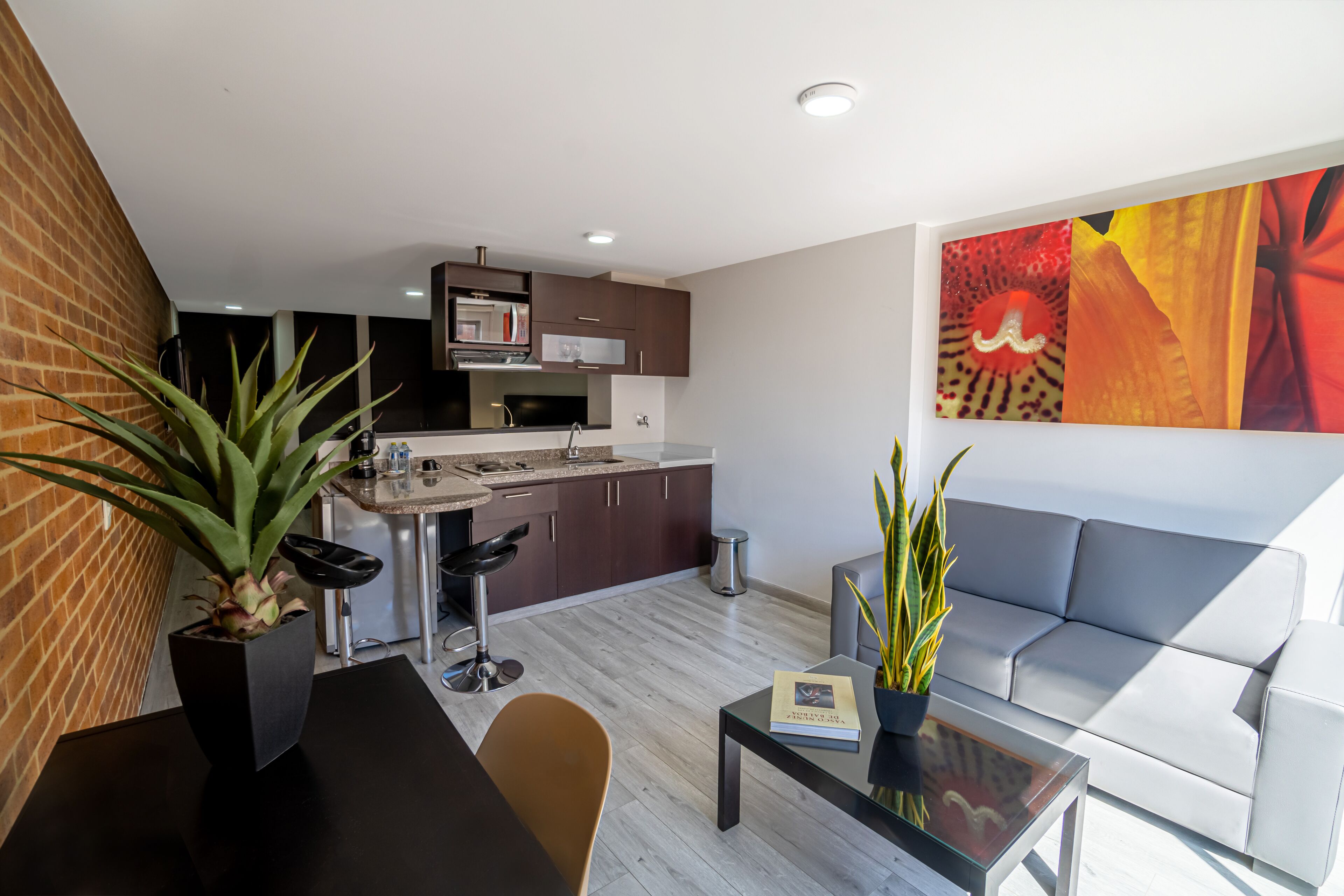 A modern living space with a kitchen, dining area, and seating.