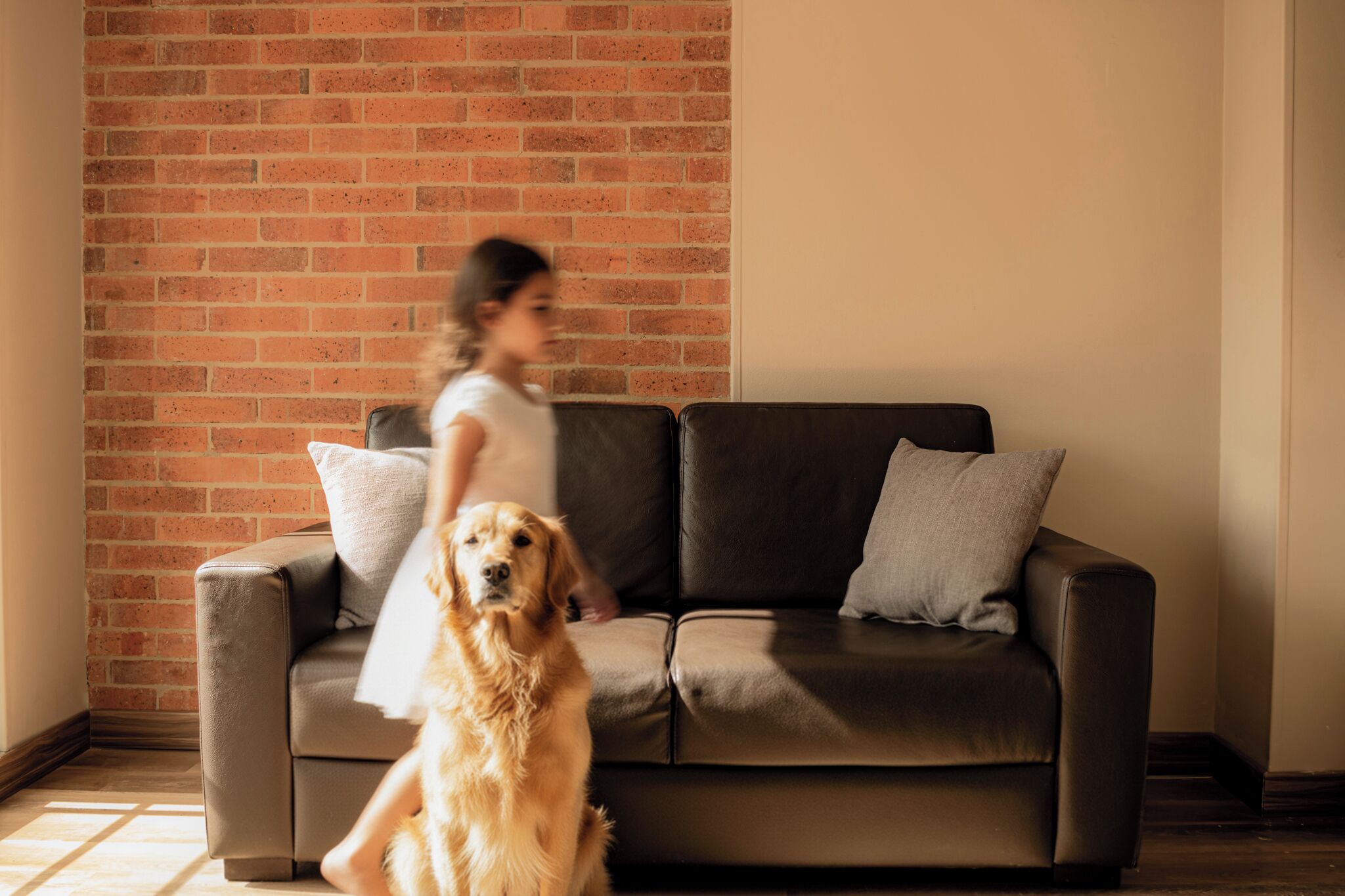 A living room with a brick wall, a brown leather sofa, and a golden retriever.