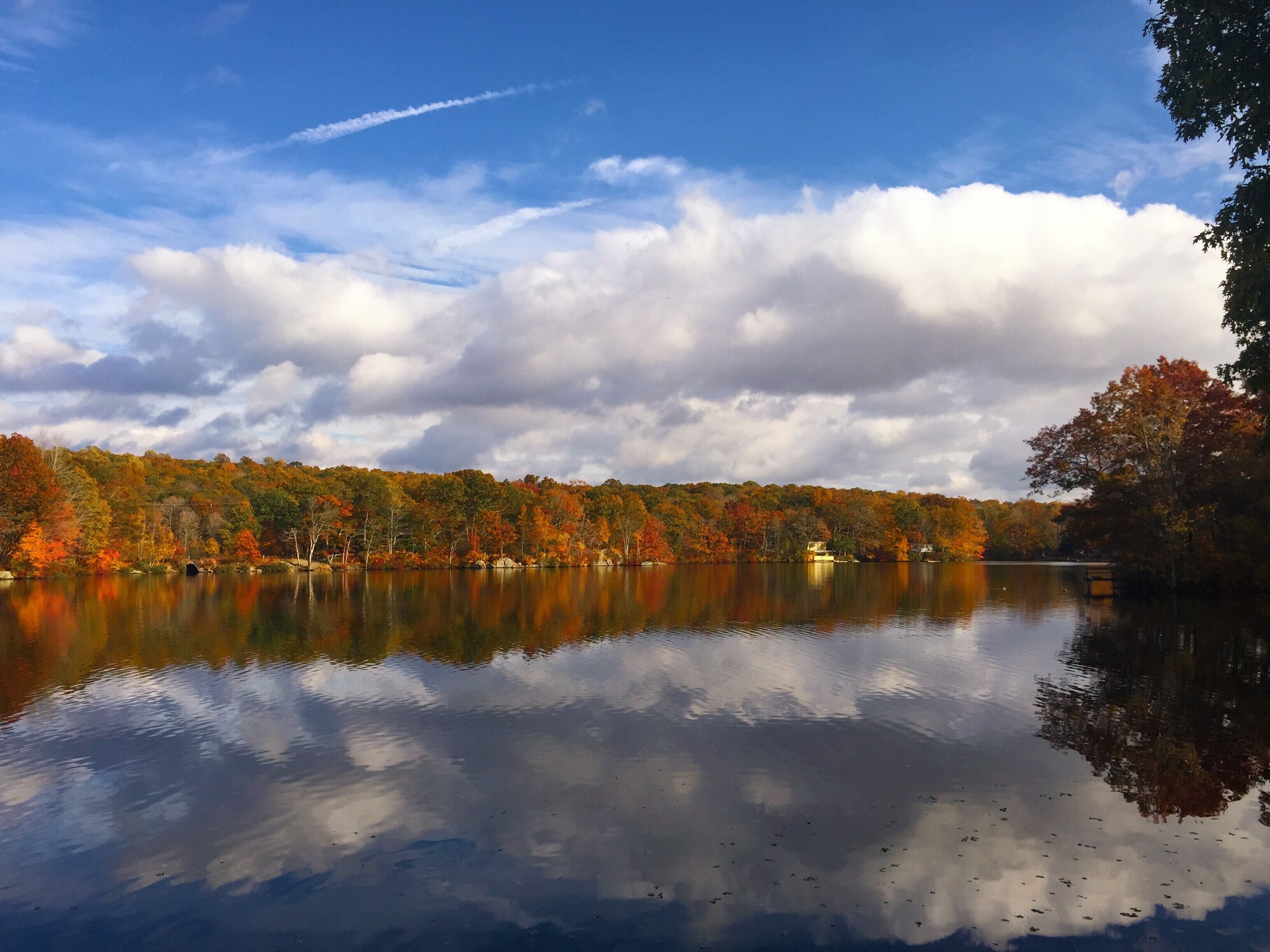 Un llac tranquil que reflecteix arbres amb fullatge d'hivern i un cel amb núvols dispersos.