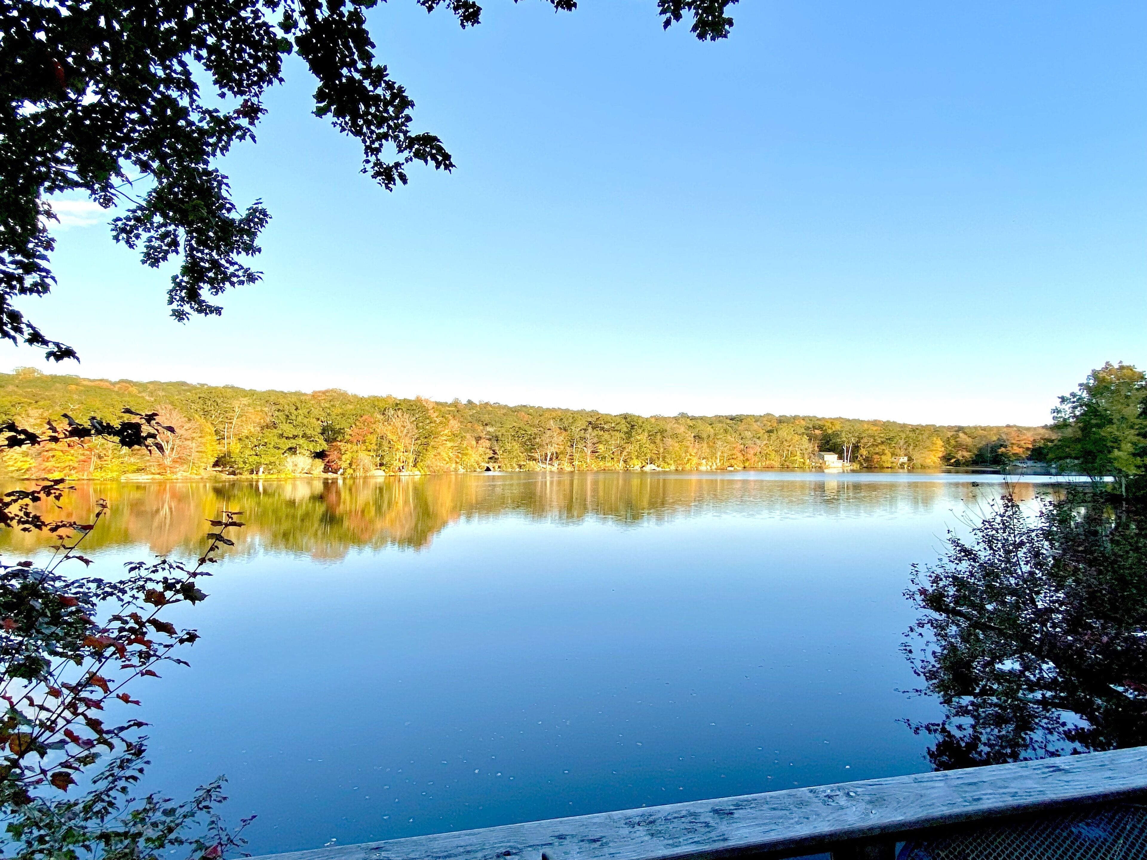 Un lac paisible, bordé d’une forêt et doté d’une jetée en bois qui s’avance sur l’eau.
