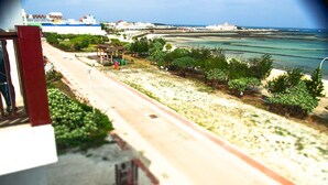 A coastal road with greenery and a clear view of the sea. - Xiang xie Homestay (Baisha)