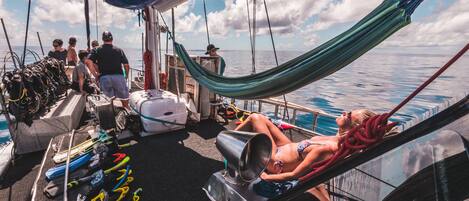 Un barco con una persona recostada en una hamaca, una vela que dice "CORAL SEA" y diverso equipo de buceo en la cubierta.