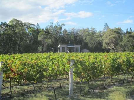 Cabin, 2 Bedrooms | 2 bedrooms, iron/ironing board, bed sheets. Just Red Wines Vineyard Cabins
