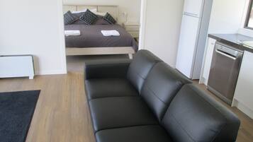 Flat-screen TV, fireplace, DVD player