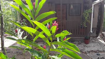 DĂ©tail de lâextĂ©rieur