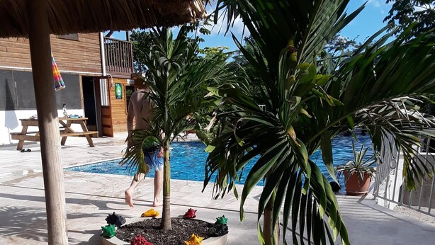 Et poolområde med palmer, en træterrasse og en swimmingpool.